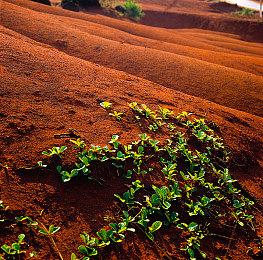 传暴雪正开发《星际争霸3》